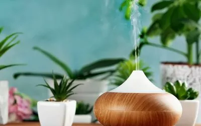 Atrévete a Perfumar tu Casa