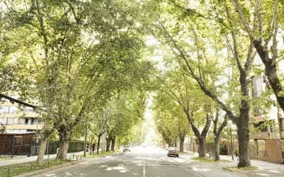 ¿Por qué vale la pena vivir en Ñuñoa?